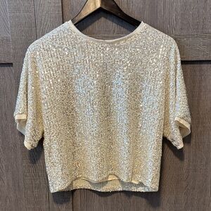 Lucy Paris Shimmering Silver Sequin Crop Top